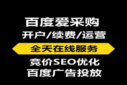 行业领先SEM托管代运营案例